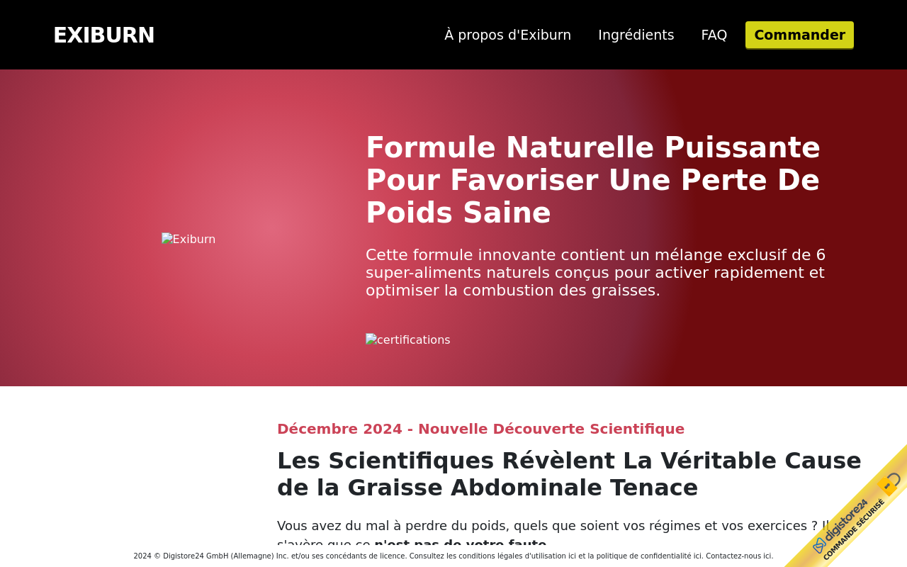 exiburn.com